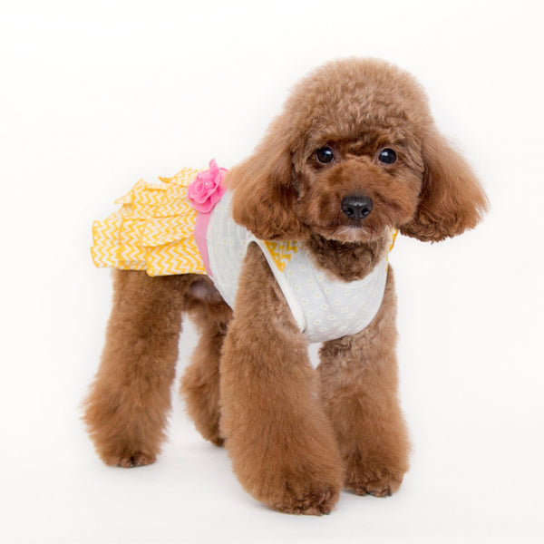 Dogo Sunshine Chevron Dog Dress