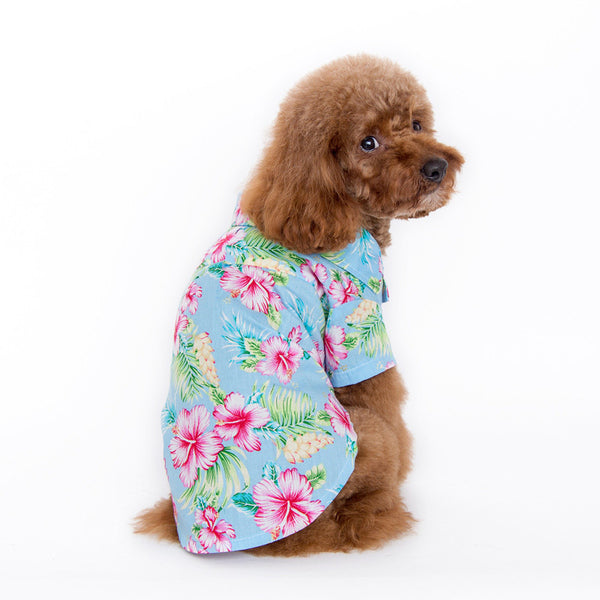 Tropical Island Dog Shirt - Blue