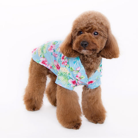Tropical Island Dog Shirt - Blue