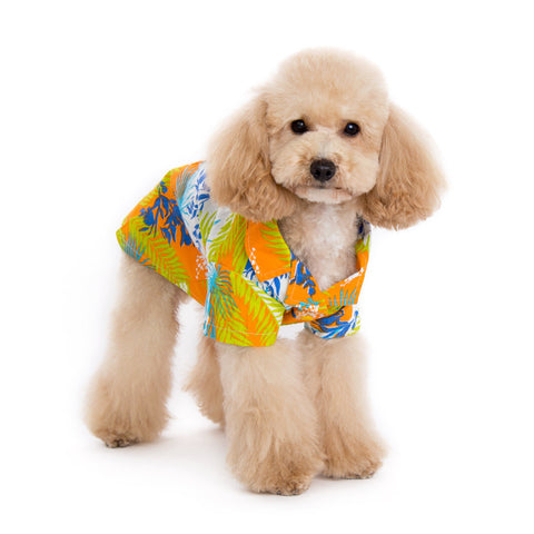 Tropical Island Dog Shirt - Orange