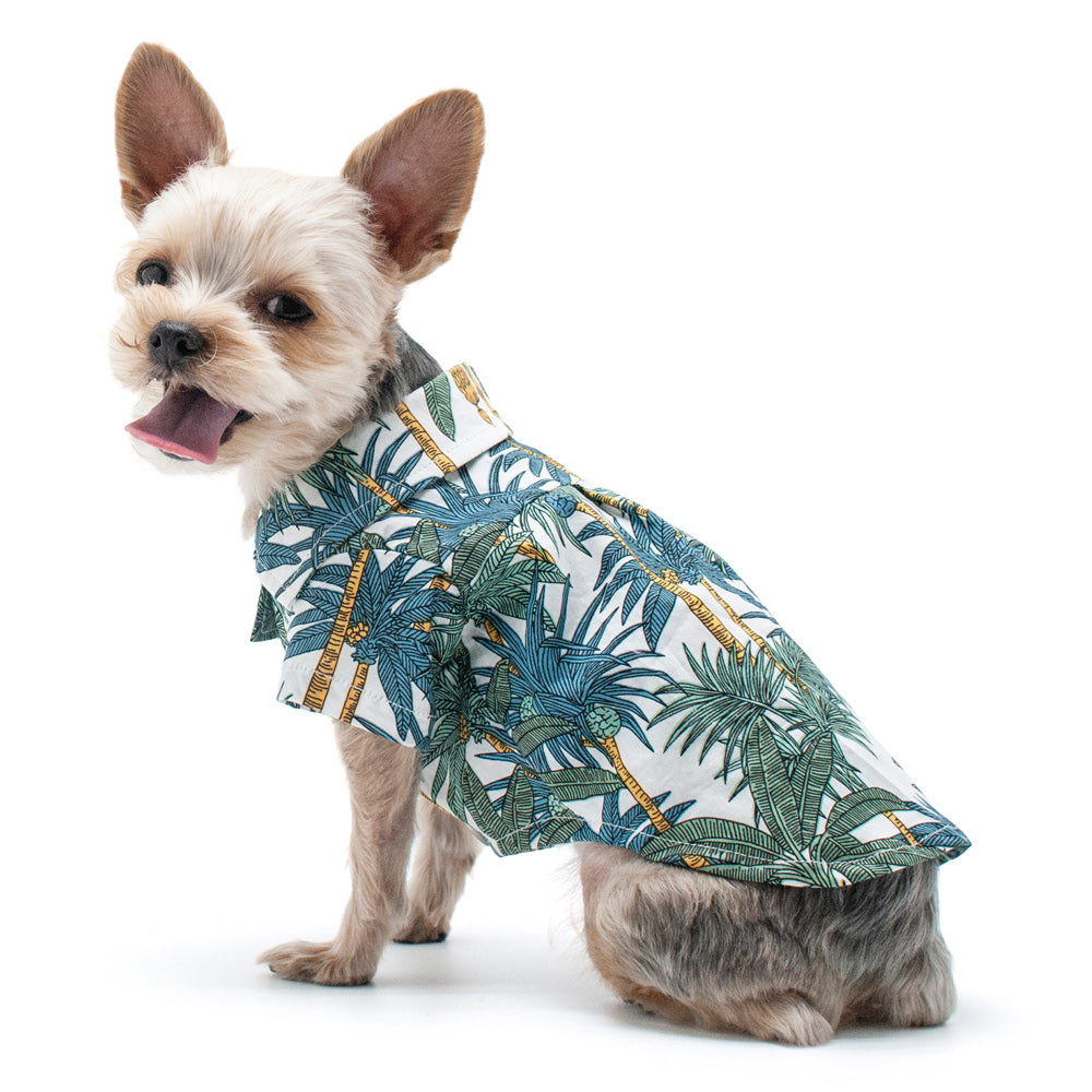 Tropical Leaf Hawaiian Style Dog Shirt