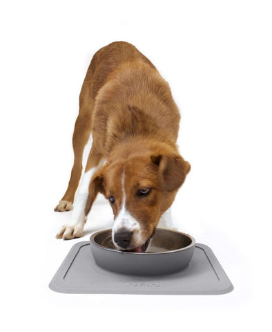 The Great Bowl Single Pet Feeder 32 oz - Charcoal