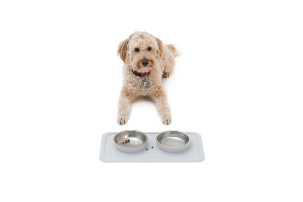 The Good Bowl Double Pet Feeder - Cool Gray
