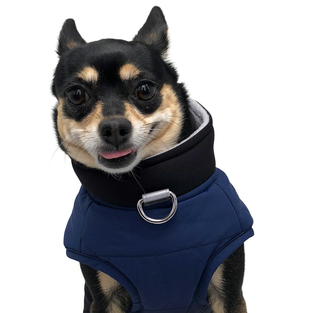 Urban Runner Dog Coat - Blue