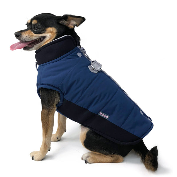 Urban Runner Dog Coat - Blue