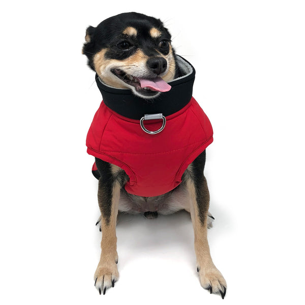 Urban Runner Dog Coat - Red