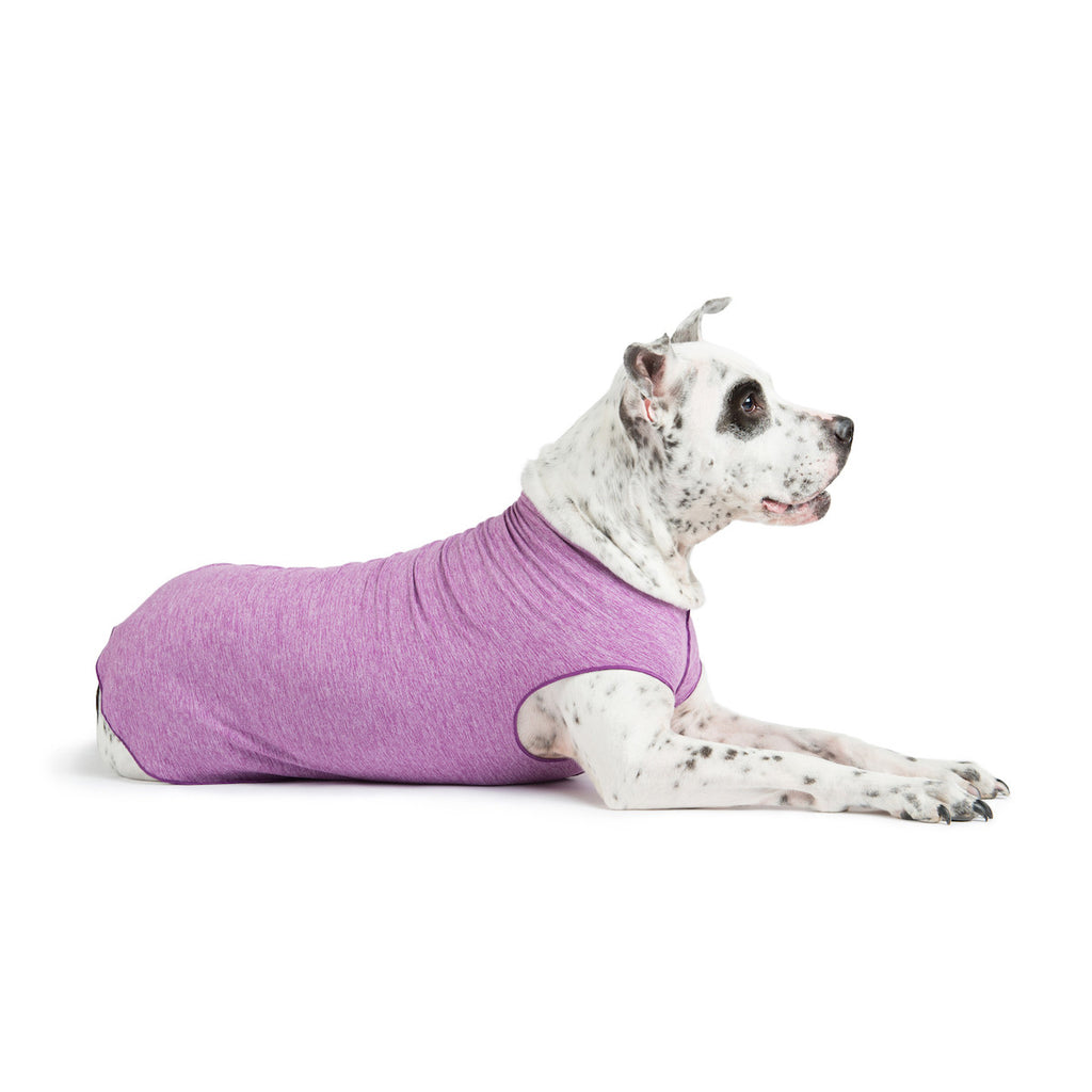Gold Paw Sun Shield Dog Tee - Violet Heather