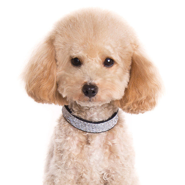 VIP Bling Dog Collar - Black