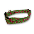 Elmo's Closet Watermelons Dog Collar