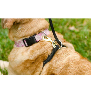 The Walkie Dog Training Leash